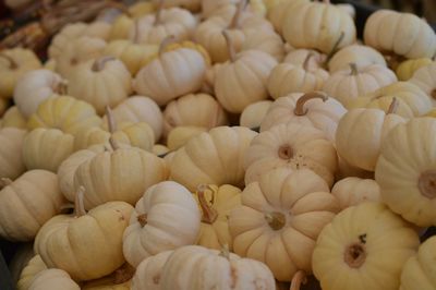 Full frame shot of pumpkins in market