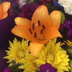 High angle view of yellow flowering plant