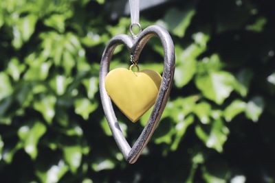 Close-up of heart shape locket hanging against tree