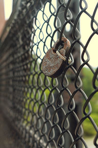 Close-up of padlock on chainlink fence