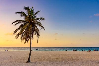 Palm trees on beach against sky during sunset