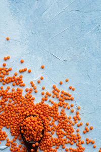 Close-up of orange fruit against white background