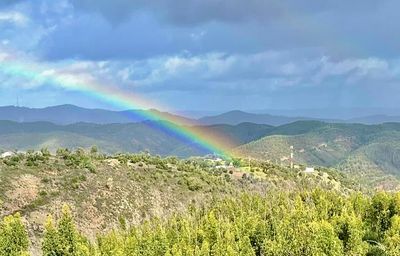 rainbow
