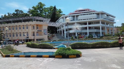 View of buildings and trees in city