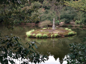 Reflection of trees in lake