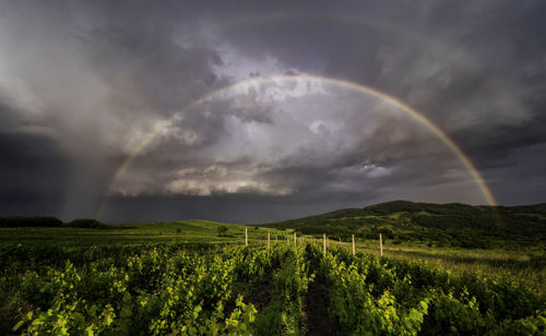 Scenic view of rainbow over landscape against sky