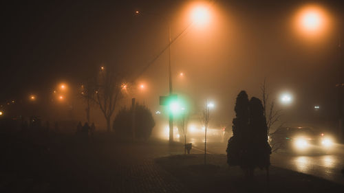 Illuminated street light in city at night