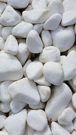 Full frame shot of white beans