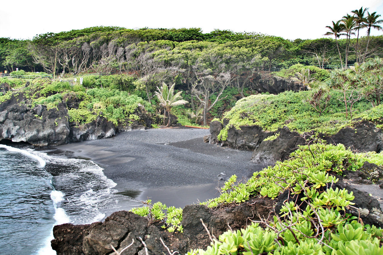 Wai'anapanapa State Park