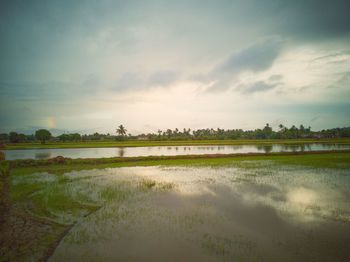 Scenic view of lake against sky