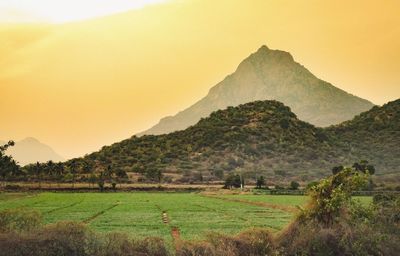 Scenic view of field and mountains against sky
