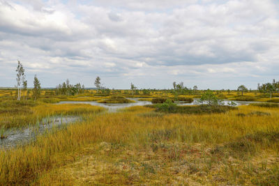 Scenic view of field against sky