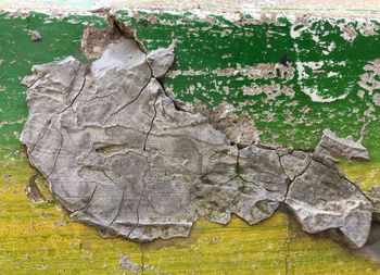 Close-up of weathered wall