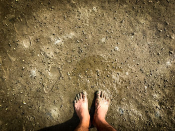 Low section of person standing on beach