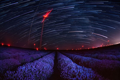 Scenic view of illuminated field against sky at night