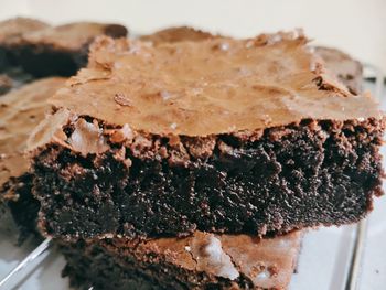 Close-up of chocolate cake in plate