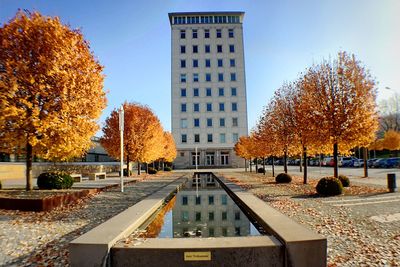 Autumn trees in park
