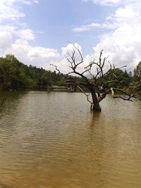 Scenic view of river against cloudy sky