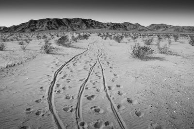 Scenic view of desert footprints against sky