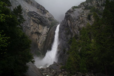 Scenic view of waterfall in forest