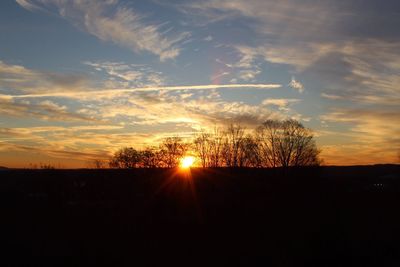 Silhouette trees on field against sky at sunset