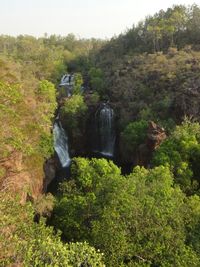 Scenic view of waterfall in forest