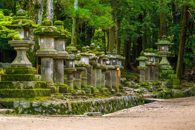 View of temple in garden