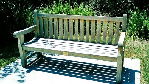 Empty benches against plants