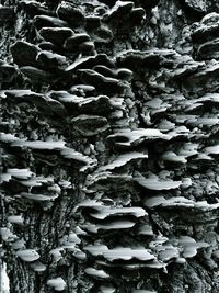 Full frame shot of white background