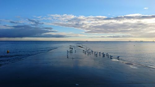 Birds on beach against cloudy sky