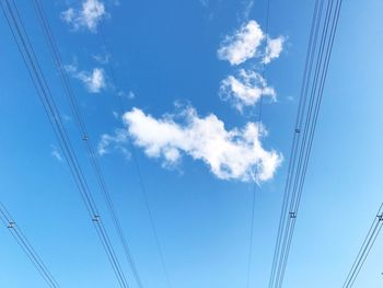 Low angle view of birds against blue sky