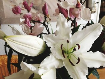 Close-up of fresh flowers