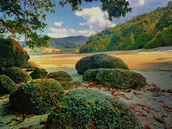 Scenic view of river against sky