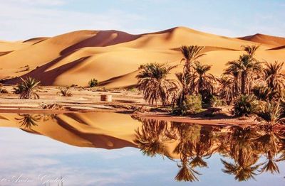 Scenic view of desert against sky