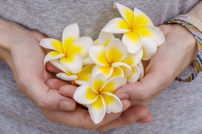Close-up of cropped hand holding flower