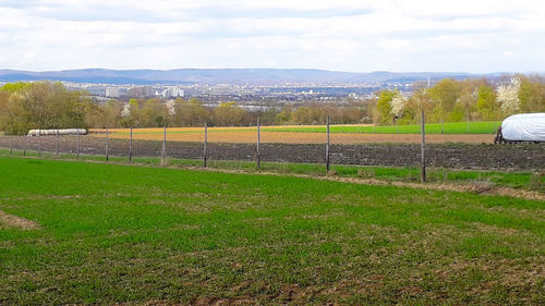 Scenic view of field against sky