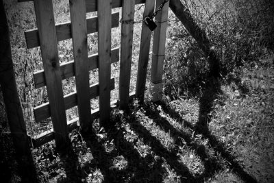 Shadow of tree on the wall