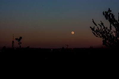 Silhouette trees at sunset