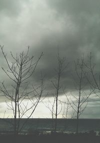 Bare trees on landscape against cloudy sky