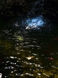 Reflection of trees on water