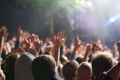 Crowd at music concert