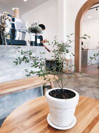 Potted plants on table at home