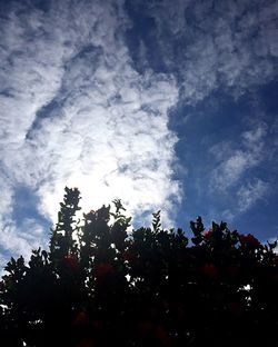 Low angle view of trees against sky