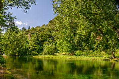 Scenic view of lake in forest against sky