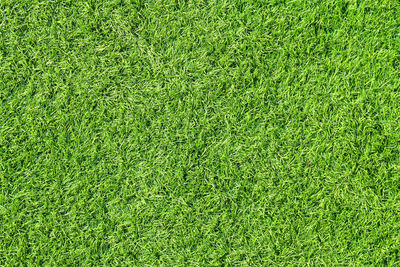 Full frame shot of soccer field