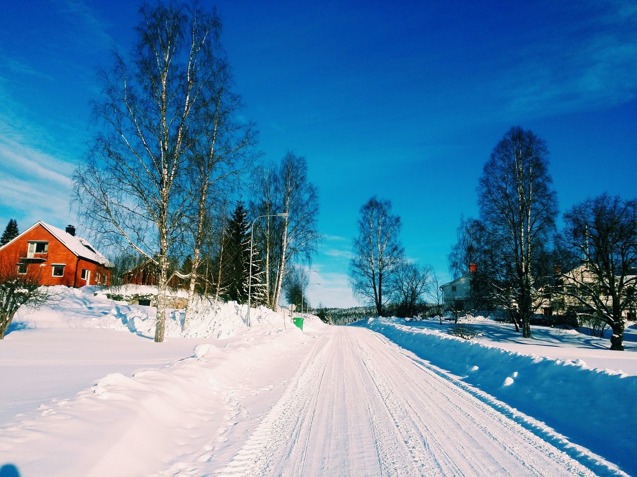 snow, winter, cold temperature, blue, bare tree, the way forward, tree, season, diminishing perspective, clear sky, covering, road, sky, vanishing point, nature, tranquility, tranquil scene, weather, landscape, street