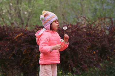 Rear view of a girl standing in nature and blowing dandelion on a spring day  in tehran