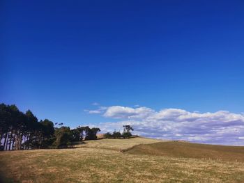 Scenic view of field against blue sky