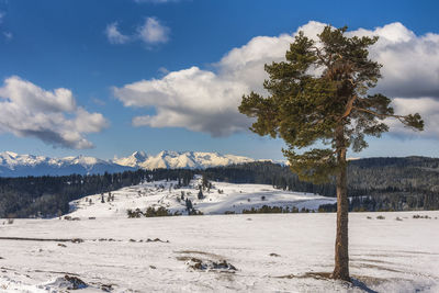 Scenic view of snowcapped mountains against sky