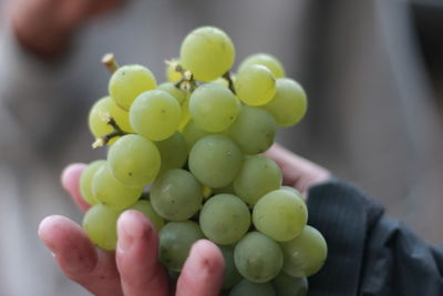 Close-up of hand holding grapes